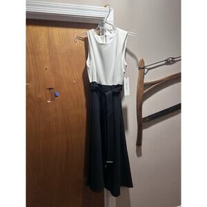 Calvin Klein Elegant Women's size 4 Color Block‎ Crepe Belted Fit & Flare Dress